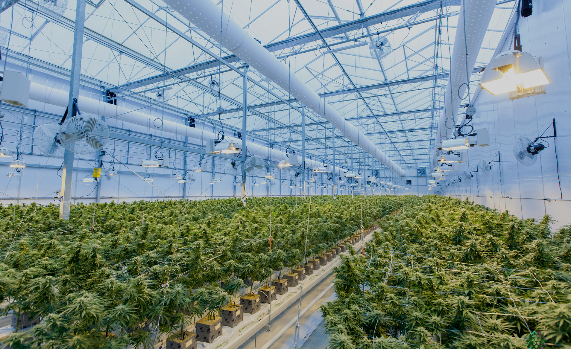 Greenhouse Greenhouse